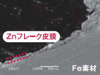 高Ni共析タイプ亜鉛-ニッケル合金めっきプロセス 450倍観察 亜鉛フレーク 高Ni共析タイプ亜鉛-ニッケル合金めっきプロセス